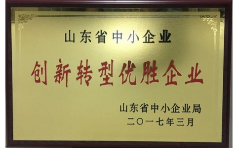 全省中小企業(yè)創(chuàng)新轉(zhuǎn)型優(yōu)勝企業(yè)牌子